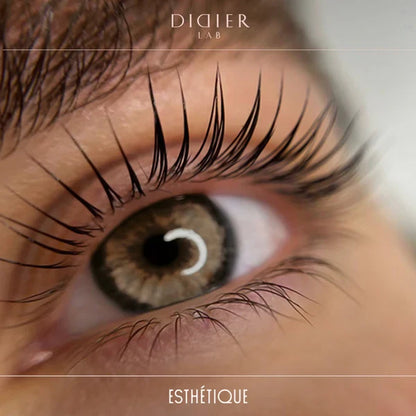 Kit de Lifting de Pestañas - Esthéique | Didier Lab
