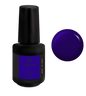 Gel Constructor en Botella BBIO Iconic - Blueberry | Didier Lab - 15ml
