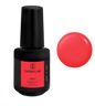 Gel Constructor en Botella BBIO Iconic - Ferrary Red | Didier Lab - 15ml