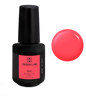 Gel Constructor en Botella BBIO Iconic - Love Red | Didier Lab - 15ml