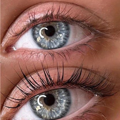 Kit de Lifting de Pestañas - Esthéique | Didier Lab