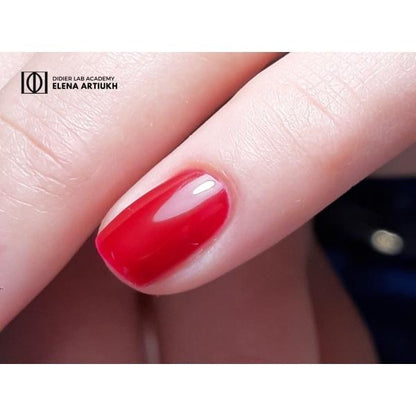 Sculpture Polybase - Red wine | Didier Lab - 10ml